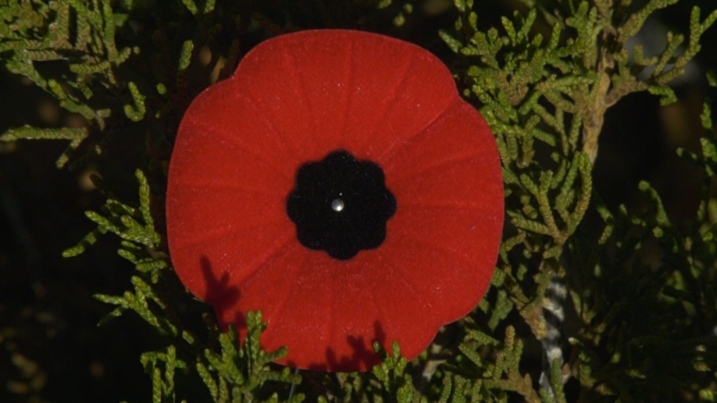 The Royal Canadian Legion launches 2021 National Poppy Campaign