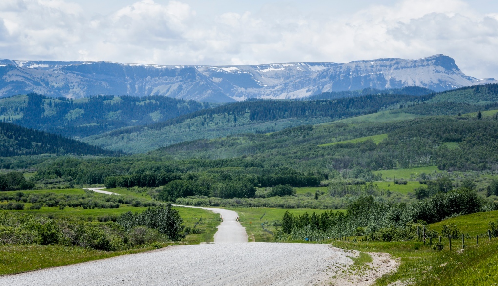 A section of the eastern slopes south west of Longview, Alta., Wednesday, June 16, 2021.THE CANADIAN PRESS/Jeff McIntosh 
