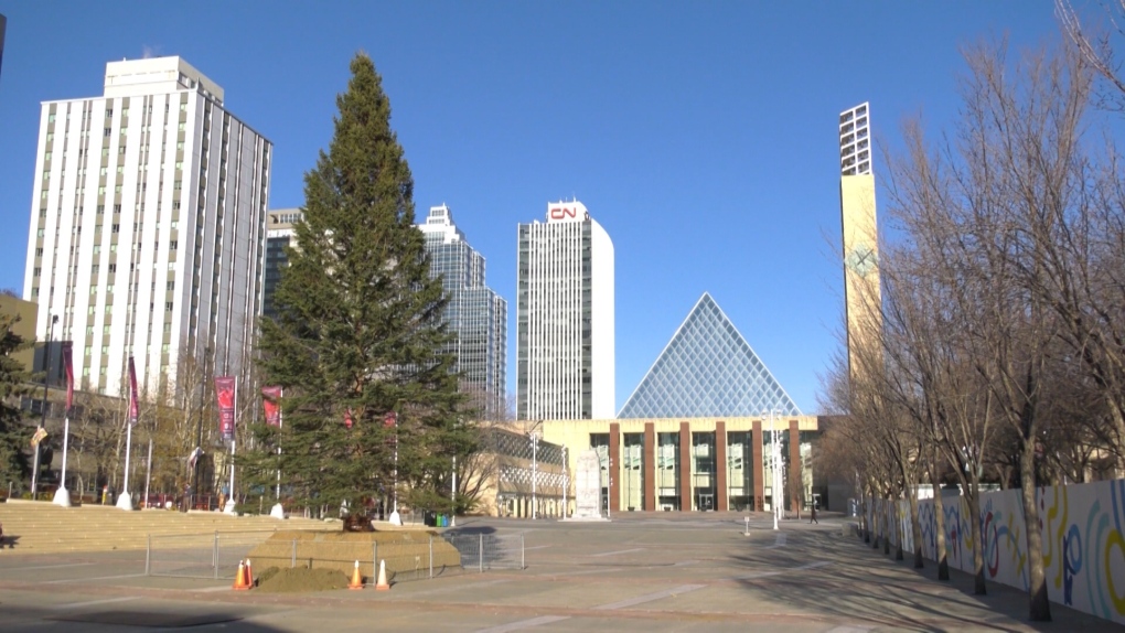 The Downtown Business Association's holiday tree arrived Tuesday night, and is now set up in Churchill Square. Nov. 10, 2021. (CTV News Edmonton)