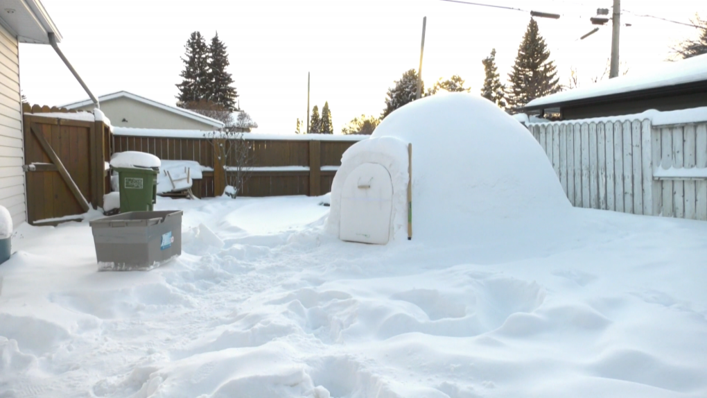 After Edmonton's first heavy snowfall in November, Davien Jewell was inspired to build an igloo in his backyard in Kenilworth, where he planned to watch the World Juniors. 