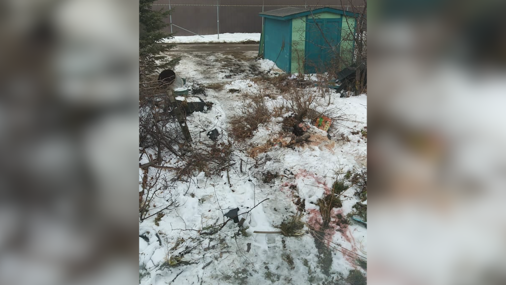 Homeowners upset after backyard damaged by EPS armoured vehicle during ...