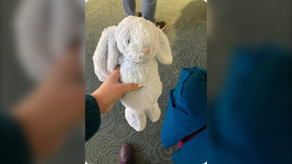 A stuffed rabbit found at Vancouver International Airport is on the way home to family staying Edmonton after Paula Simons posted about the lost toy on Twitter. (Source: Paula Simons/Twitter)