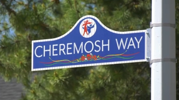 A new street sign bearing the new name for 40 Street from 114 to 118 Avenue in honour of the Cheremosh Ukrainian Dance Company (CTV News Edmonton/Dave Mitchell).