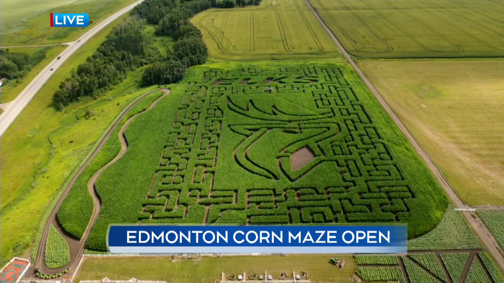 Edmonton Corn Maze opens