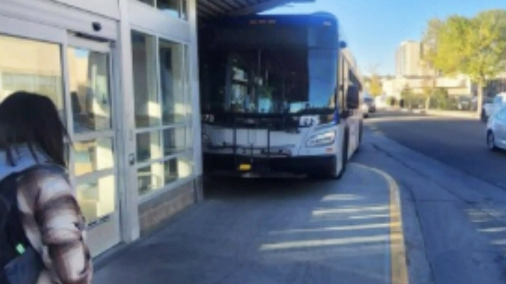 are dogs allowed on edmonton transit