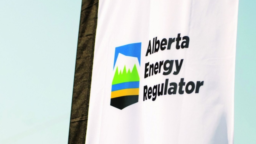 The Alberta Energy Regulator logo is seen on a flag at the opening of the regulator's office in Calgary in an undated handout photo. (HO-Alberta Energy Regulator/The Canadian Press)