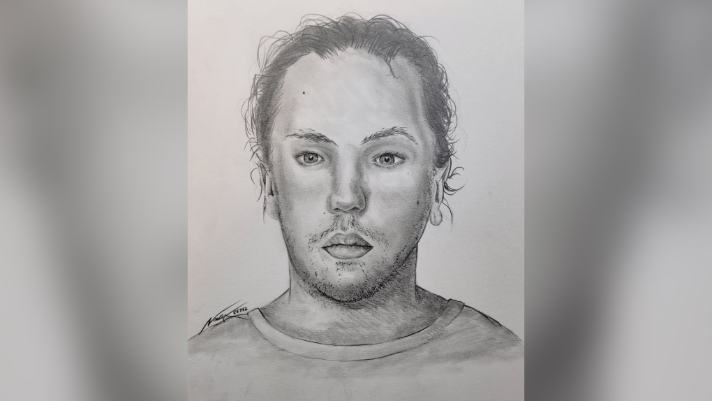 Police released this sketch of an unidentified pedestrian who was hit on the QEII on Feb. 16, 2023. (Credit: RCMP)