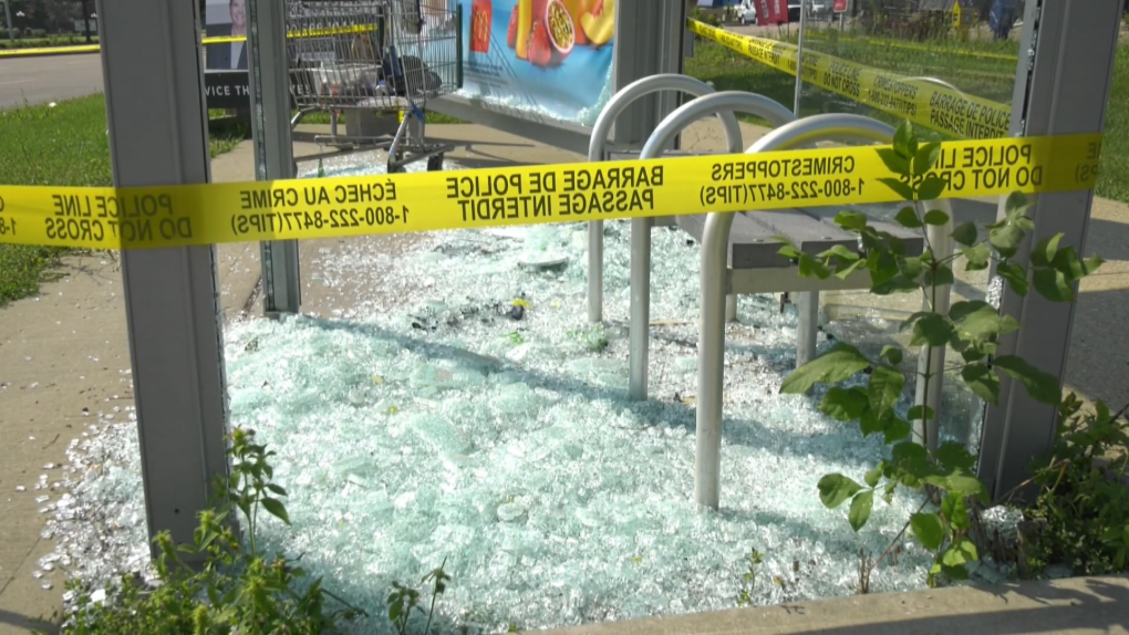 Bus Shelters Smashed In St. Albert | CTV News