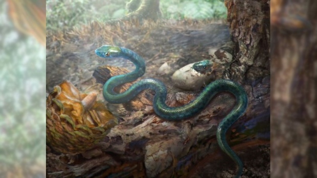 rendering of ancient snake