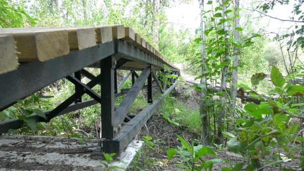 Gold Bar Park bike bridge