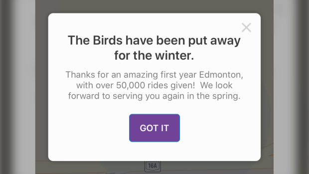 Bird scooters winter message