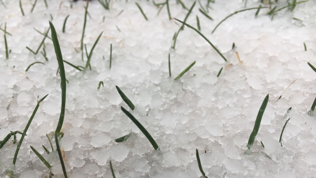 Hail storm in Edmonton.