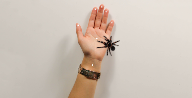 Anna Chakravorty, spider phobia