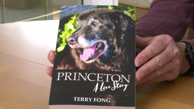 Terry Fong, Princeton