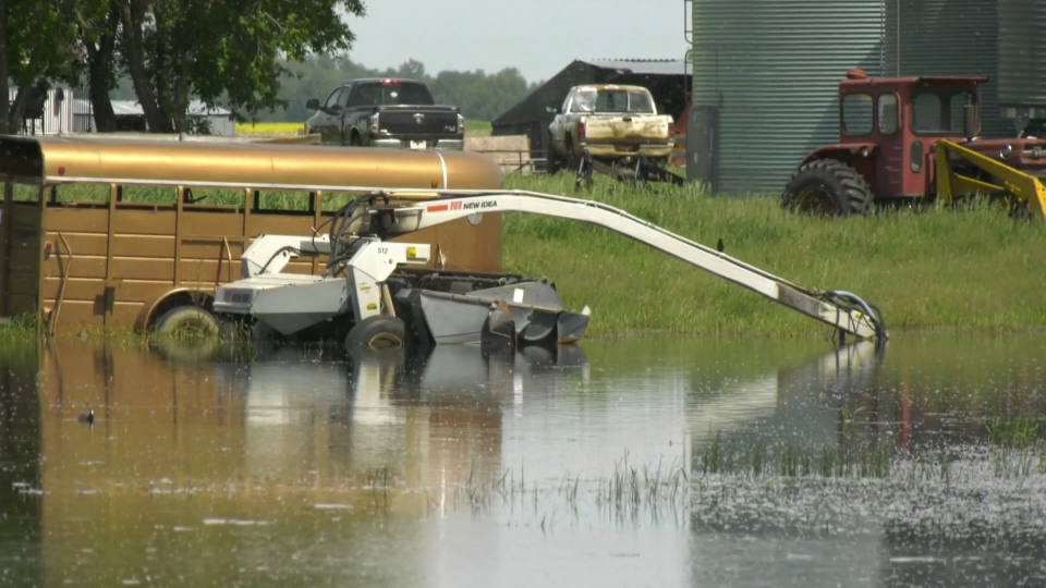 Lamont County, farmer, flood, Greening