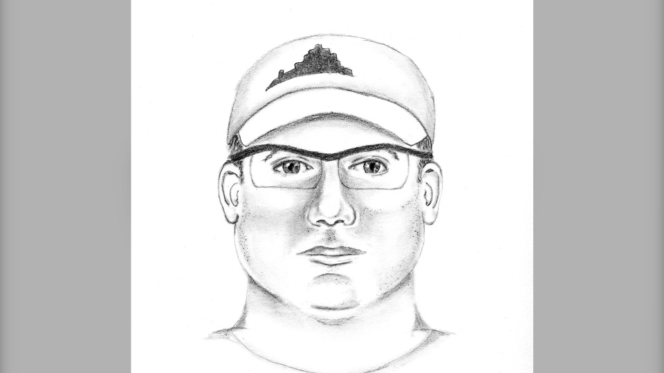 Sketch of suspect in Lisa Arsenault homicide