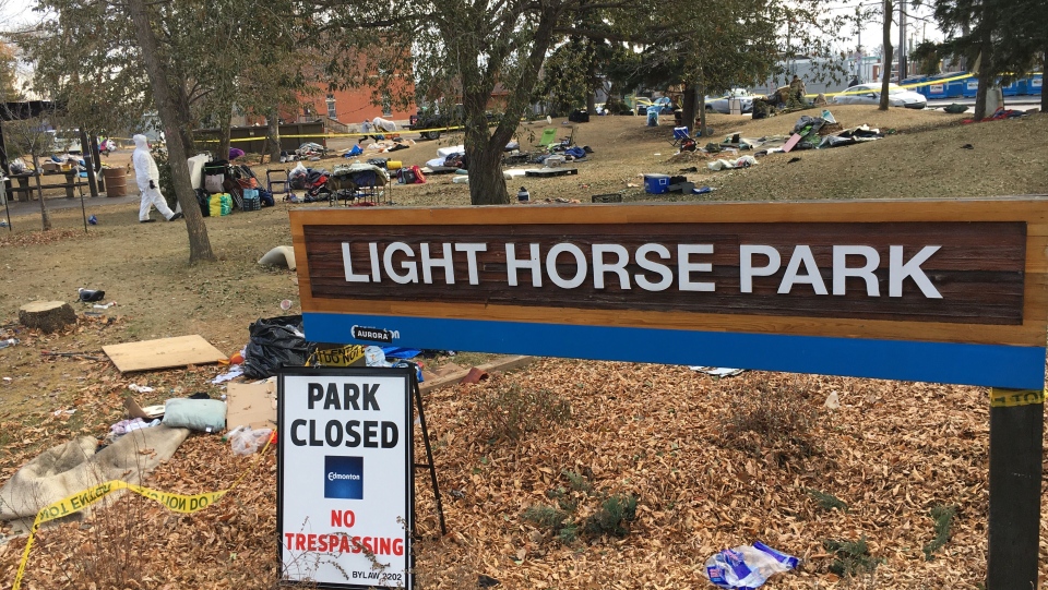Clean-up at Light Horse Park