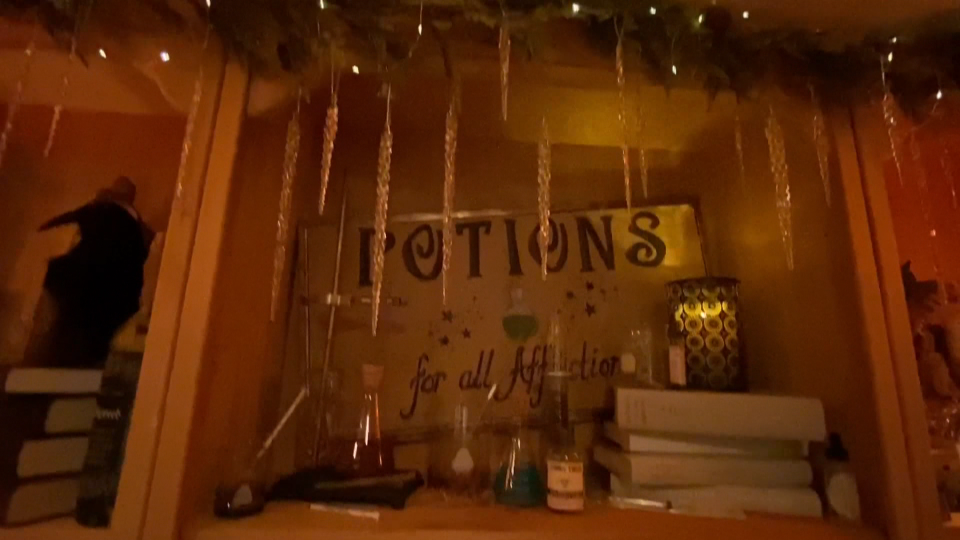 Leann Hines' Harry Potter Christmas display