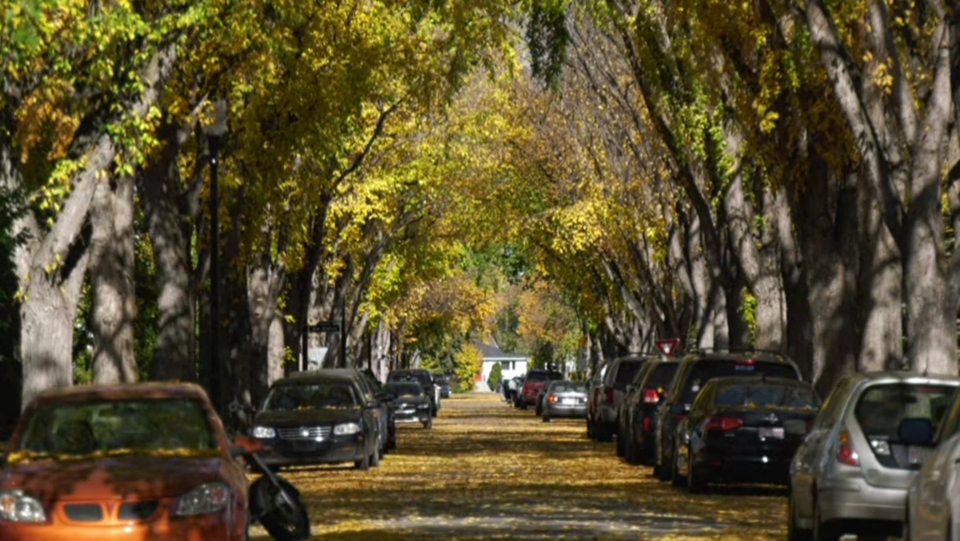 Luxury Edmonton home, mature neighbourhood